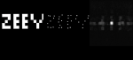 A New Optical Random Coding Technique for Security Systems
