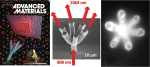 3D Printing of Micrometer‐Sized Transparent Ceramics with On‐Demand Optical‐Gain Properties
