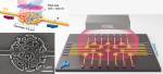 Demonstration of an integrated nanophotonic chip-scale alkali vapor magnetometer using inverse design