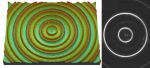 Design, fabrication, and characterization of circular Dammann gratings based on grayscale lithography