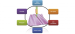 Digital resonant laser printing Bridging nanophotonic science and consumer products