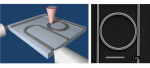 Effects produced by metal coated near field probes on the performance of Silicon waveguides and resonators