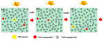 Generating Hot Carriers in Plasmonic Nanoparticles: When Quantization Does Matter?