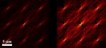 Generation of a periodic array of radially polarized Plasmonic focal spots