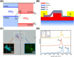 Waveguide-integrated mid-IR photodetector and all-optical modulator based on interlayer excitons absorption in a WS2/HfS2 heterostructure
