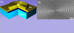 Light transmission through a circular metallic grating under broadband radial and azimuthal polarization illumination