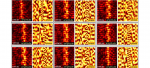 Near-field characterization of propagating optical modes in photonic crystal waveguides