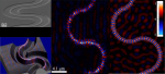 Near field phase mapping exploiting intrinsic oscillations of aperture NSOM probe