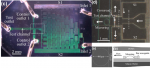 On-chip microfluidic tuning of an optical microring resonator