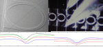 On-chip multi spectral frequency standard replication by stabilizing a microring resonator to a molecular line