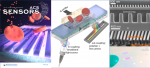 Optofluidic Sensor for Inline Hemolysis Detection on Whole Blood
