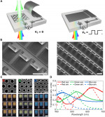 MEMS cantilever-controlled plasmonic colors for sustainable optical displays MEMS cantilever-controlled plasmonic colors for sustainable optical displays