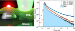 WS2 Monolayers Coupled to Hyperbolic Metamaterial Nanoantennas: Broad Implications for Light-Matter-Interaction Applications
